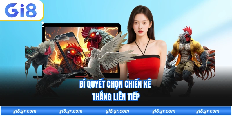 Đá Gà GI8 Bí quyết chọn chiến kê thắng liên tiếp
